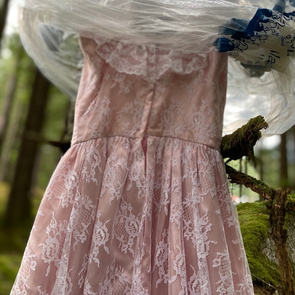 Extremely Rare! Vintage Blush pink ball gown - Picture 12 of 14